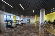 Gạch Ốp Lát APODIO  61286011